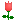 :rose