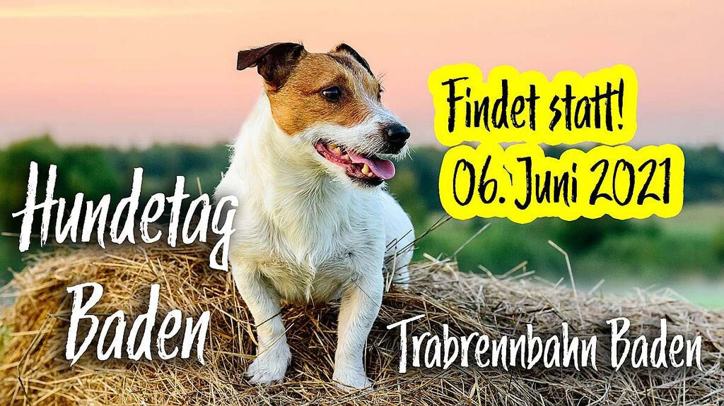 Bild Nr. 612346