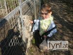 Bild Nr. 180456