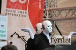 Bild Nr. 203402