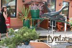 Bild Nr. 222835