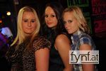 Bild Nr. 243078
