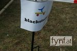 Bild Nr. 253136