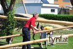 Bild Nr. 310803