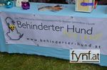 Bild Nr. 319462