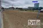 Bild Nr. 319463
