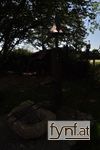 Bild Nr. 323366
