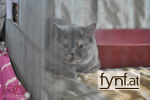 Bild Nr. 358410