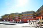 Bild Nr. 405235