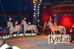 Bild Nr. 432322