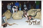 Bild Nr. 454518
