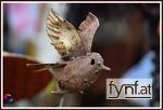 Bild Nr. 485233