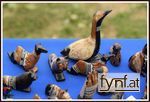 Bild Nr. 485238