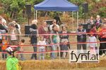 Bild Nr. 492208
