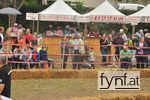 Bild Nr. 492212