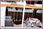 Bild Nr. 499054