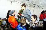 Bild Nr. 504442