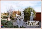 Bild Nr. 509637