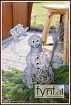 Bild Nr. 509640
