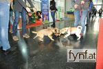 Bild Nr. 511642