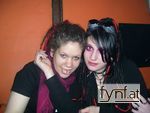 Bild Nr. 51304