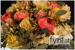 Bild Nr. 516691