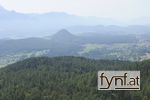 Bild Nr. 528764