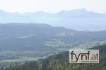 Bild Nr. 528765