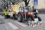 Bild Nr. 541590