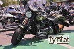 Image No. 593300