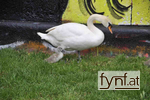 Bild Nr. 612435
