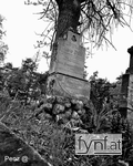 Bild Nr. 612675