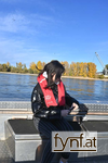 Bild Nr. 628273