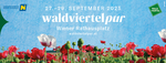 Bild Nr. 652098