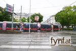 Bild Nr. 730897
