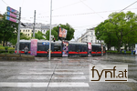 Bild Nr. 730898