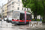 Bild Nr. 730901