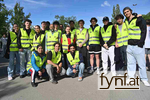 Bild Nr. 732085
