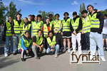 Bild Nr. 732086