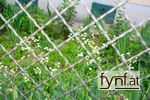 Bild Nr. 86122