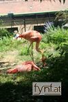 Bild Nr. 94620
