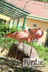 Bild Nr. 94621