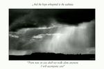 Bild Nr. 11031